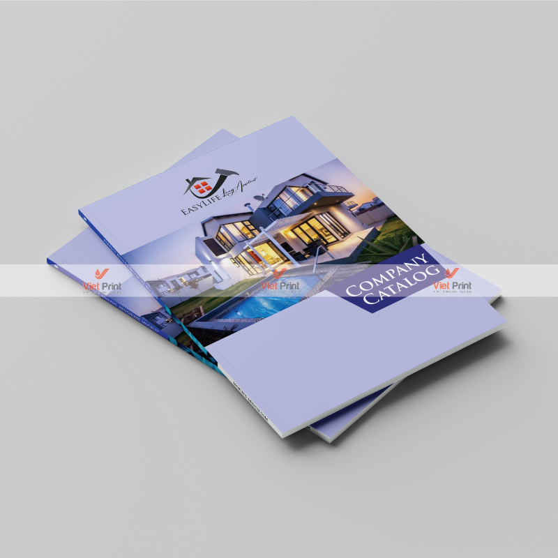 In Quảng Bình – Chuyên Nghiệp, Uy Tín, Tiết Kiệm Chi Phí 